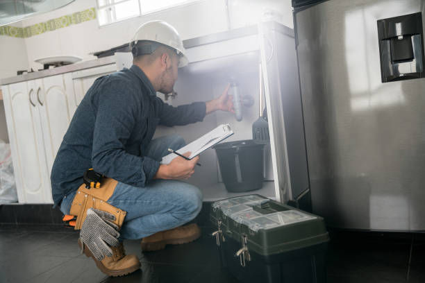 Best Local Plumber Services  in Lopezville, TX